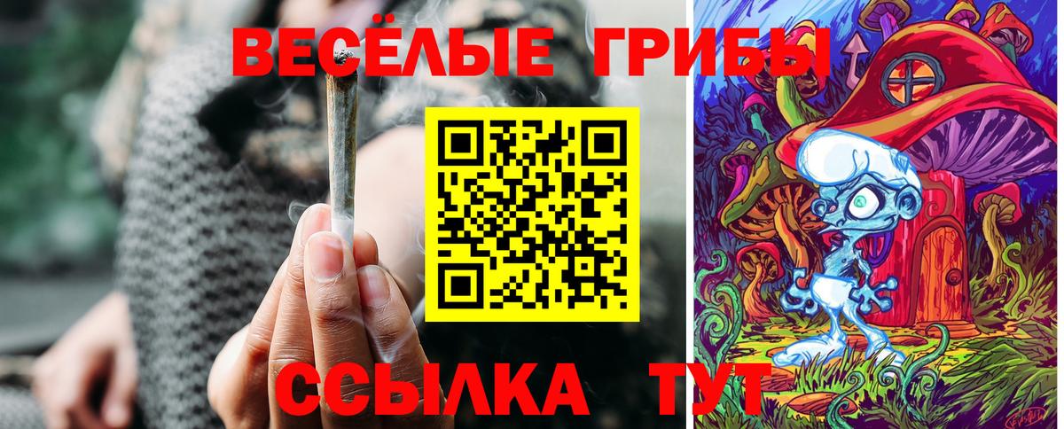 Псилоцибиновые грибы MAGIC MUSHROOMS  Вход с VPN  Грозный  Галлюциногенные грибы Psilocybine cubensis 