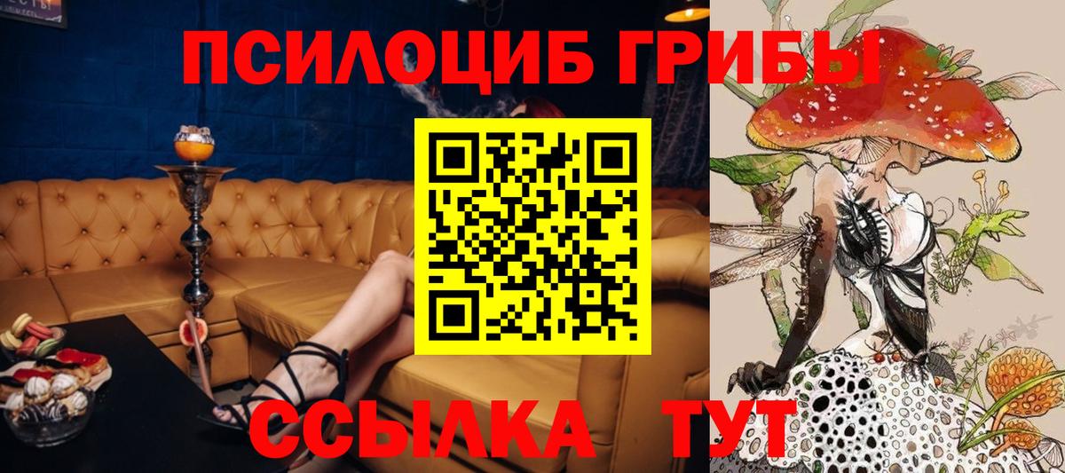 Псилоцибиновые грибы Cubensis Грозный