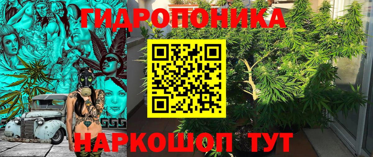 Канабис VHQ  Шишки марихуана сатива  Грозный  Вход с VPN  Конопля конопля  Каннабис White Widow 